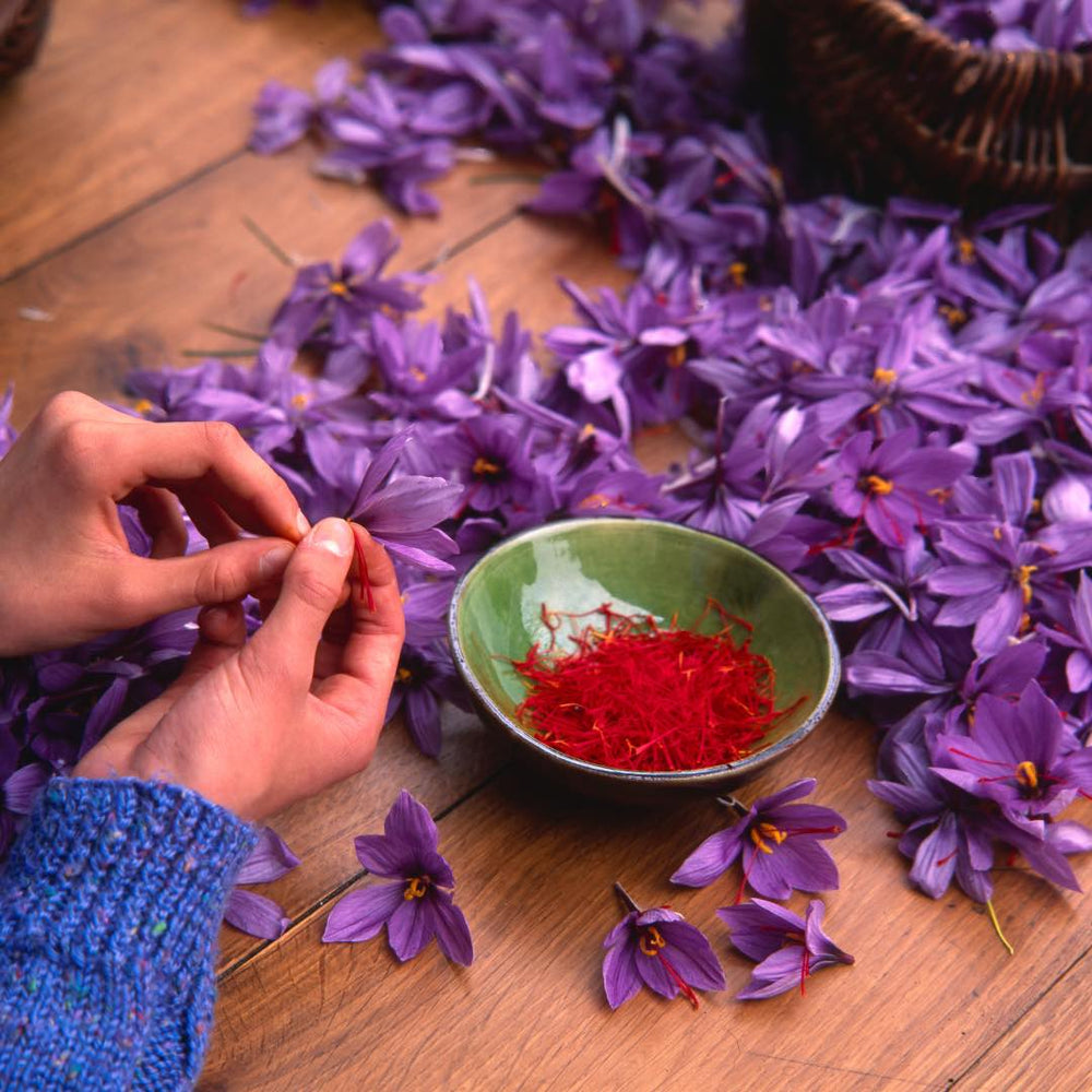 Refined saffron botanical with warm earth tones